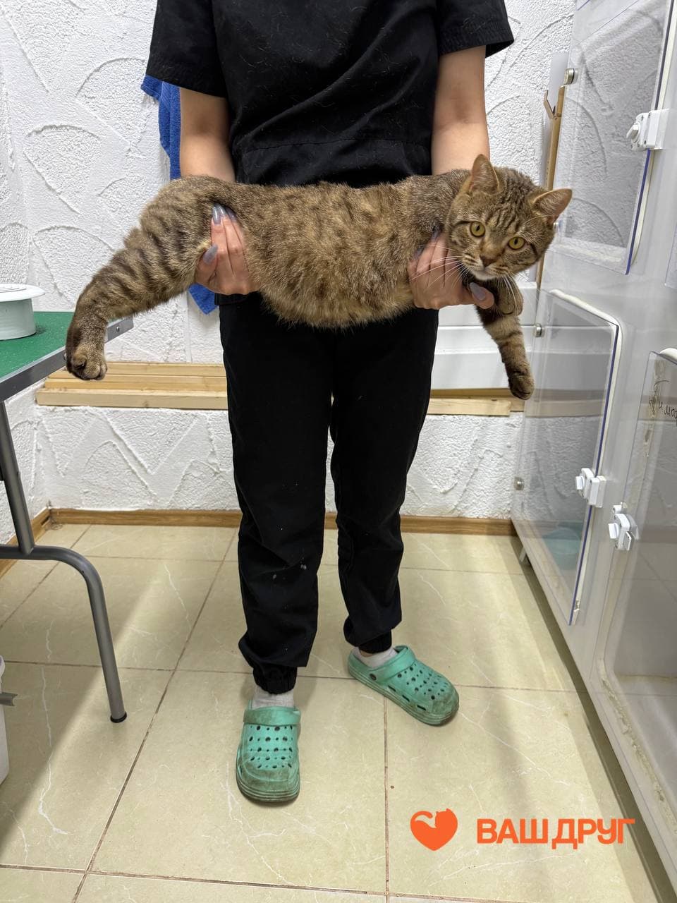Тимоша