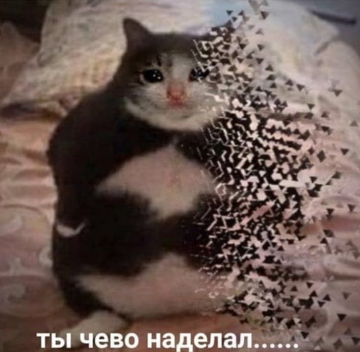 Котёнок ТЫЧEВО
